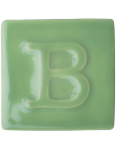 BOTZ PRO CELADON VERT 200 ML