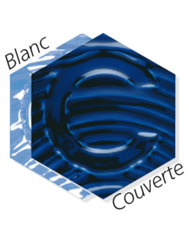 COLORANT DE MASSE BLEU COBALT - 1 KG
